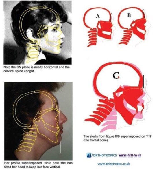 www.orthotropics.co.uk