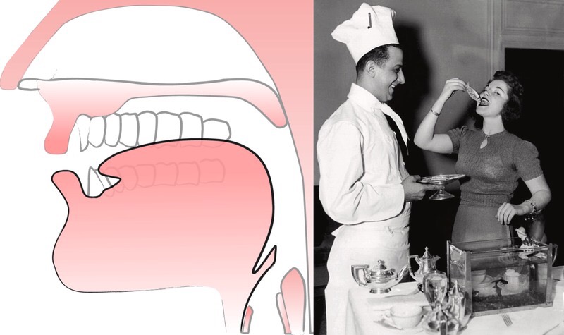 Archivní ilustrace k článku o správné poloze jazyka