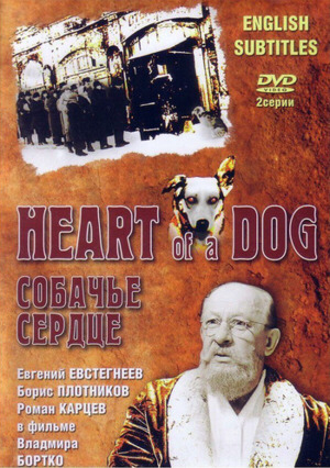 Illustrazione della sezione ««Cuore di cane»»